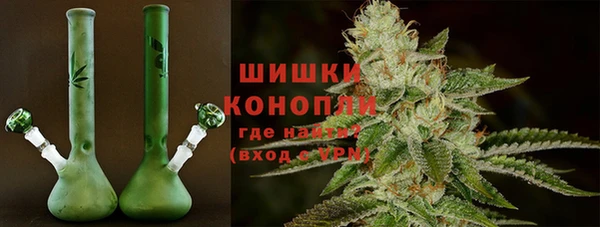 шишки Алексин