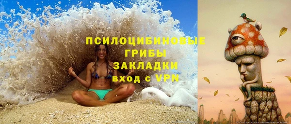 spice Алексеевка