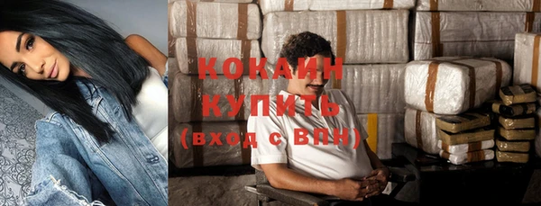 шишки Алексин