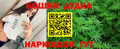 хмурый Кингисепп