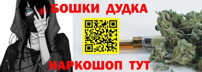 хмурый Кингисепп