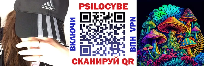 купить наркотики цена  Красноярск  hydra как войти  Галлюциногенные грибы Cubensis 