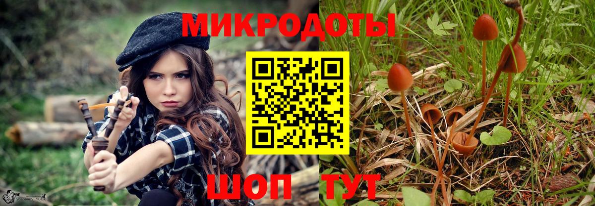 Псилоцибиновые грибы прущие грибы Красноярск