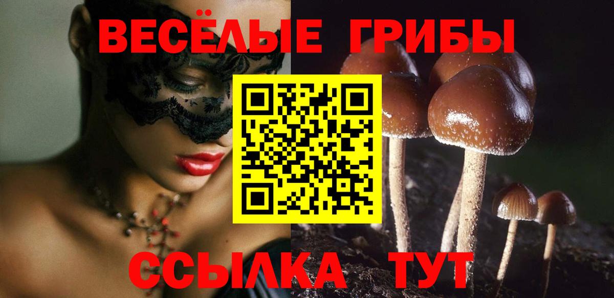 Псилоцибиновые грибы прущие грибы  Вход с VPN  купить  цена  Красноярск 