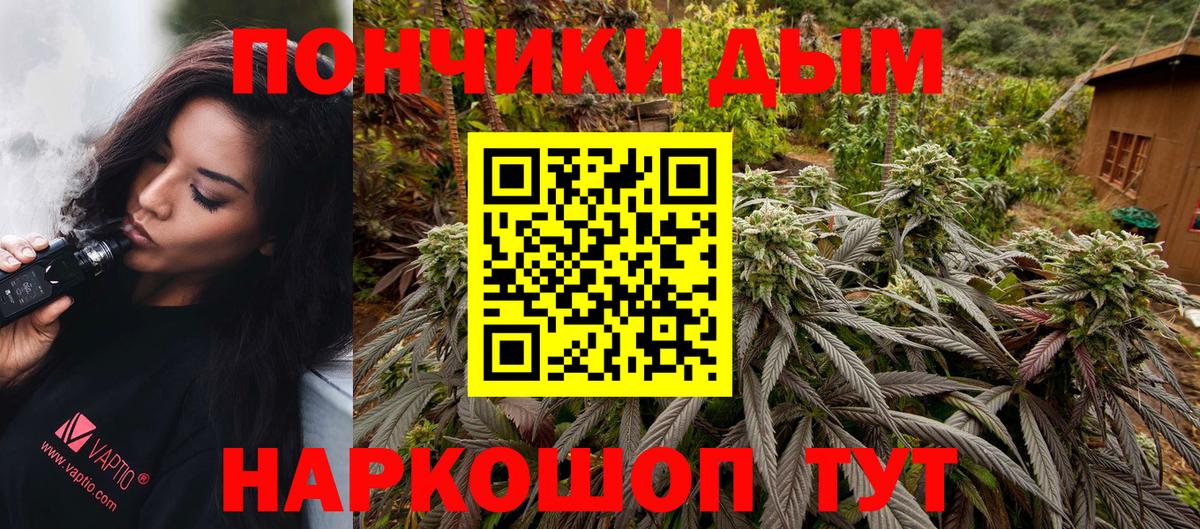 Бошки марихуана VHQ  Вход с VPN  Конопля план  Красноярск  Марихуана OG Kush 